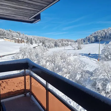 Confort Apartment